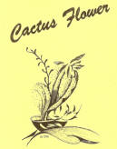 Cactus Flower-1973
